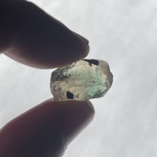 361 オレゴンサンストーンラフ