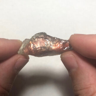 JOSR58 オレゴンサンストーンラフ