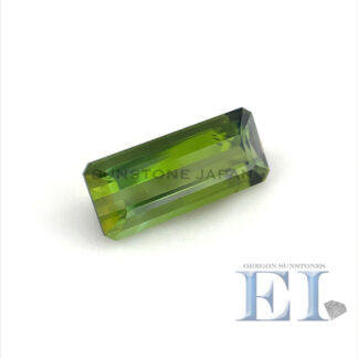 23194L トルマリンルース